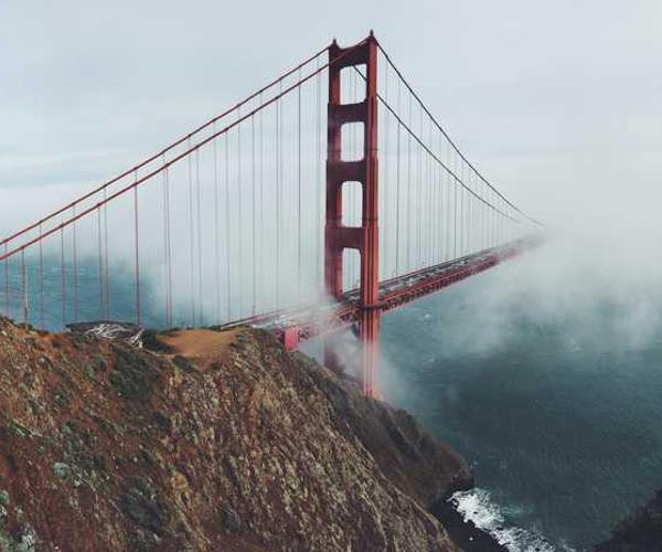 Professional team at work